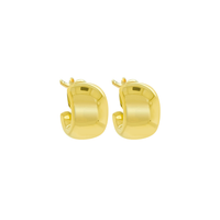 Favorite Wider Hoop Earrings Small